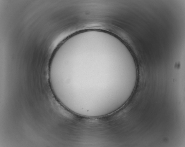 X0000111781328200908131339