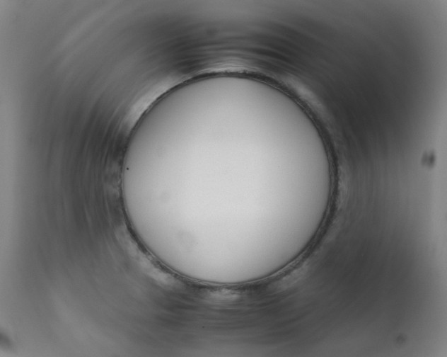 X0000111781329200908131339