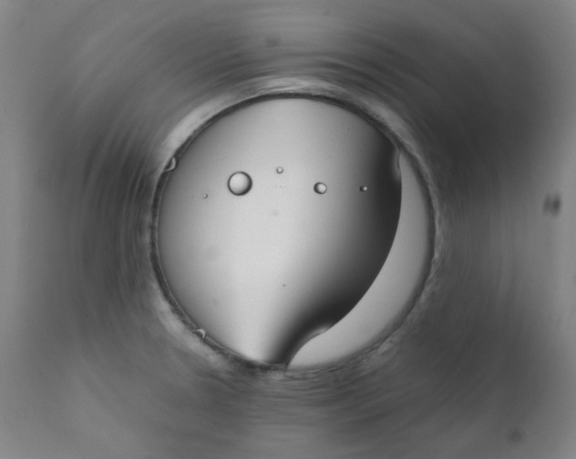 X0000111781330200908131339
