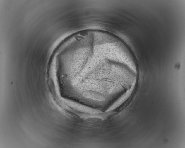 X0000111781331200908131339