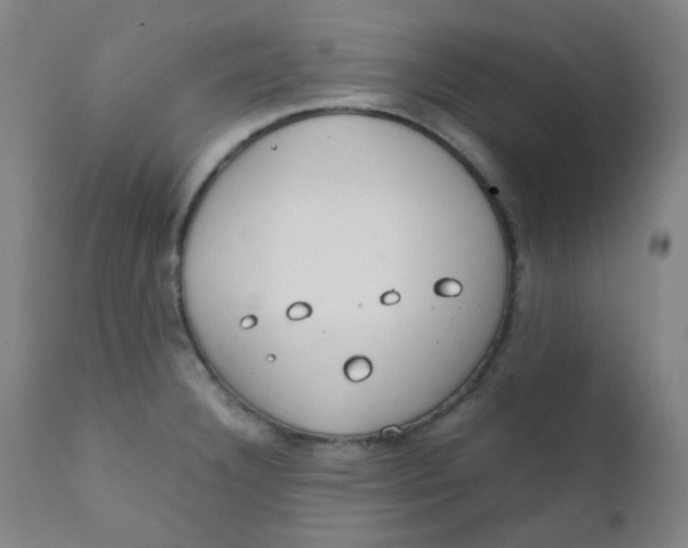 X0000111781332200908131339