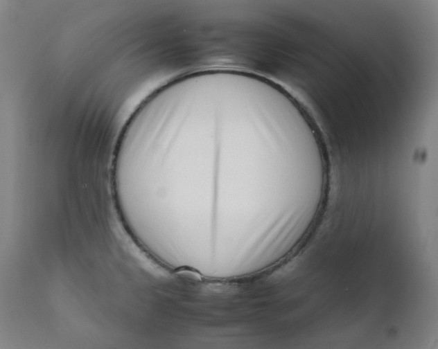 X0000111781333200908131339