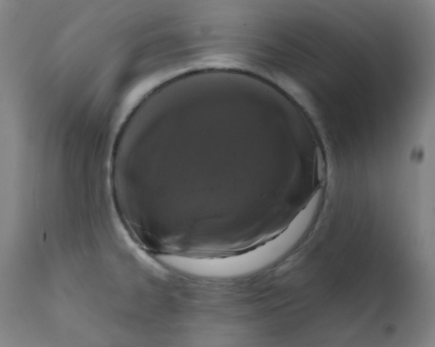 X0000111781334200908131339