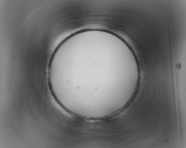 X0000111781335200908131339
