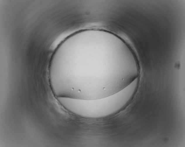 X0000111781336200908131339