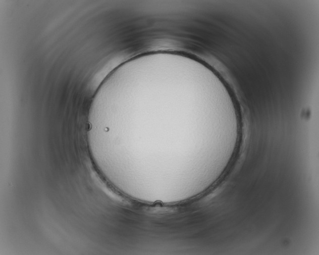 X0000111781337200908131339