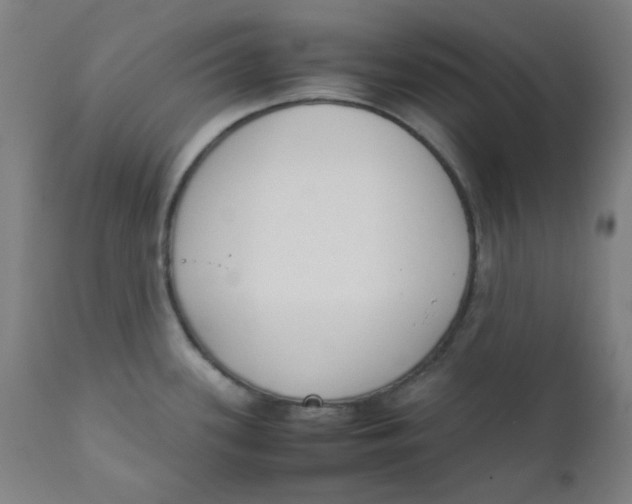 X0000111781339200908131339