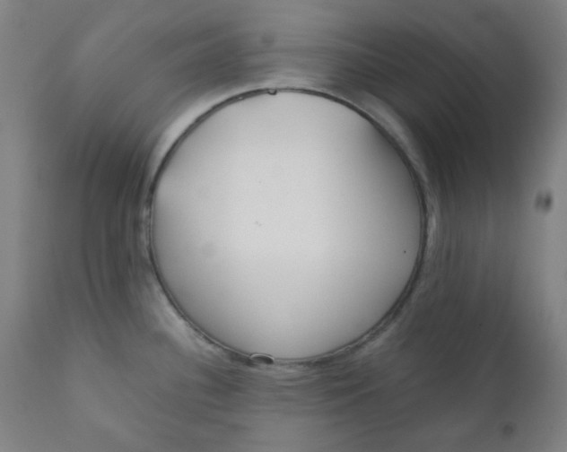X0000111781340200908131339