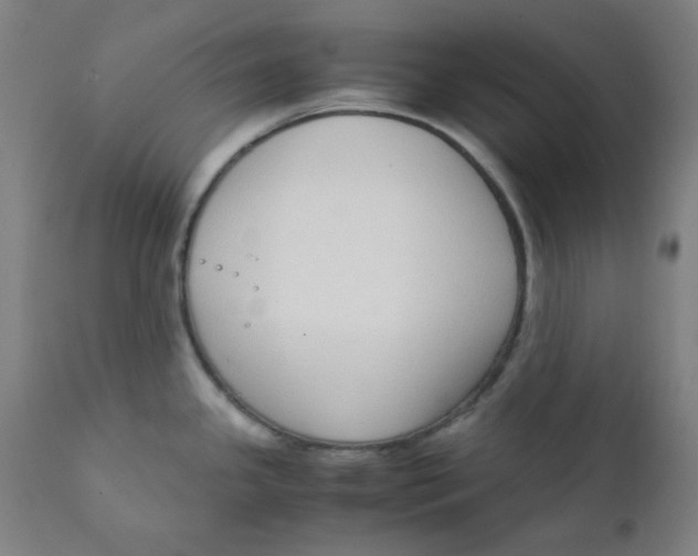 X0000111781341200908131339