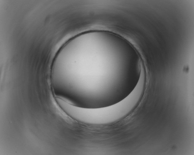 X0000111781342200908131339