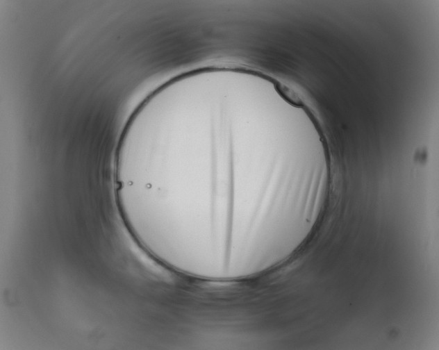 X0000111781343200908131339