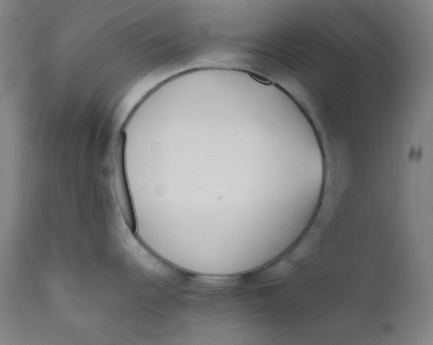 X0000111781344200908131339