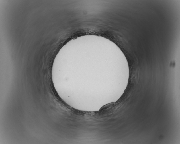 X0000111781345200908131338