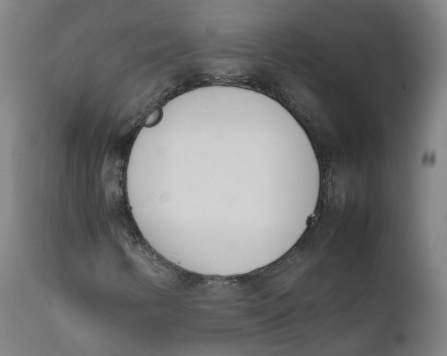 X0000111781346200908131338