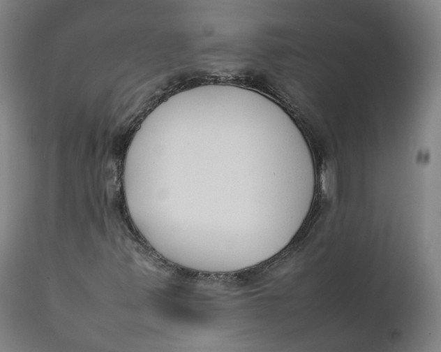 X0000111781347200908131338