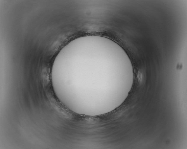 X0000111781348200908131338