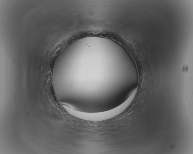X0000111781349200908131338