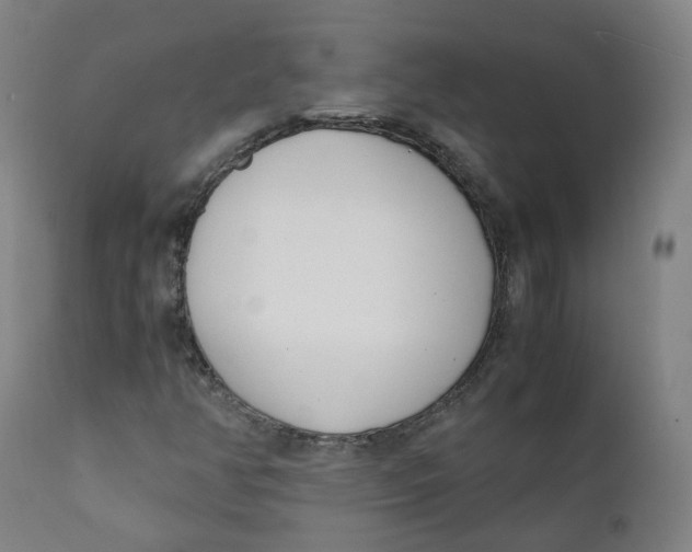 X0000111781350200908131338