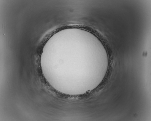 X0000111781351200908131338