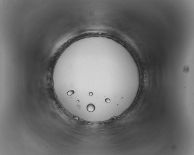 X0000111781352200908131338