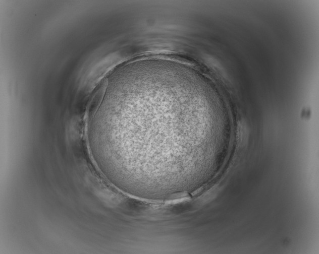 X0000111781353200908131338