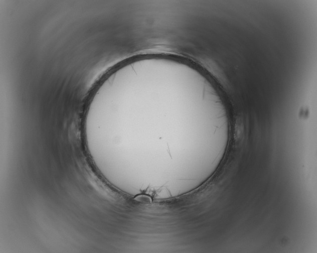 X0000111781356200908131338