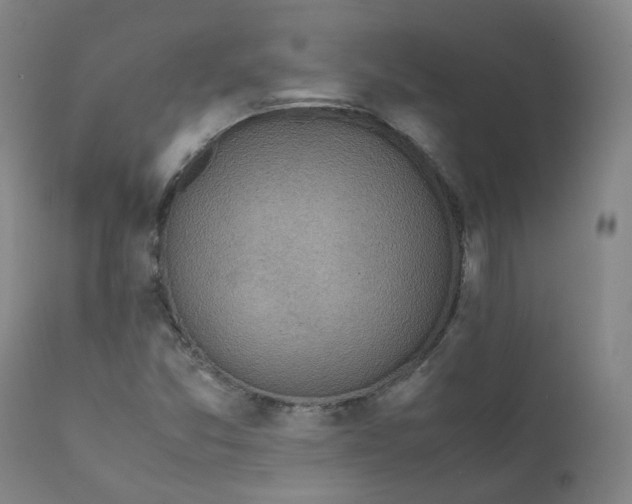 X0000111781357200908131338