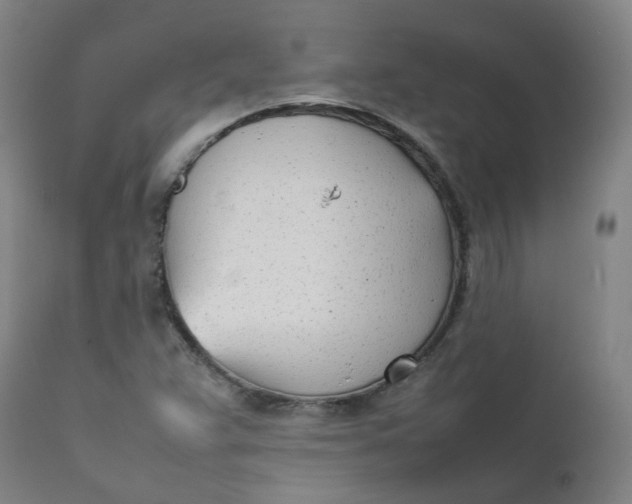 X0000111781359200908131338