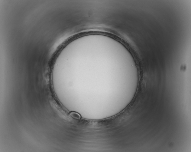 X0000111781360200908131338
