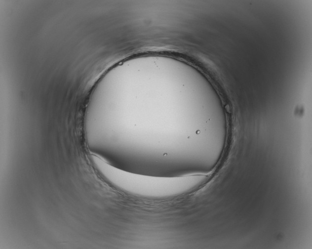 X0000111781361200908131338