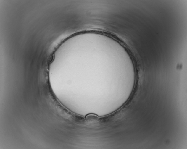 X0000111781363200908131338