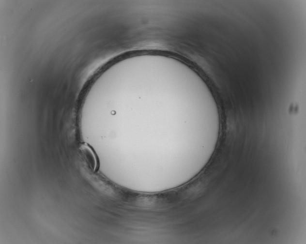 X0000111781364200908131338