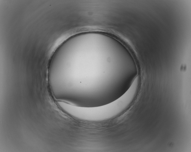 X0000111781365200908131338