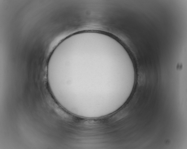 X0000111781366200908131338