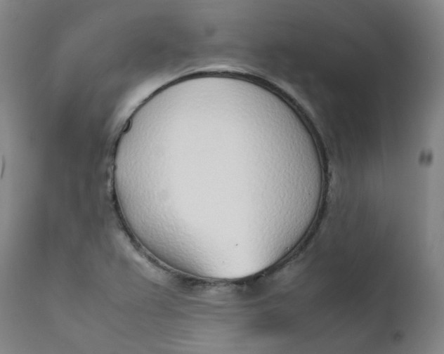X0000111781367200908131338