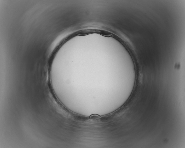 X0000111781368200908131338