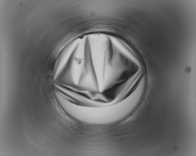 X0000111781369200908131338