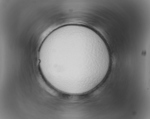 X0000111781371200908131338