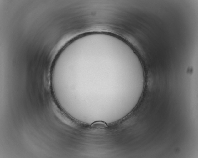 X0000111781372200908131338