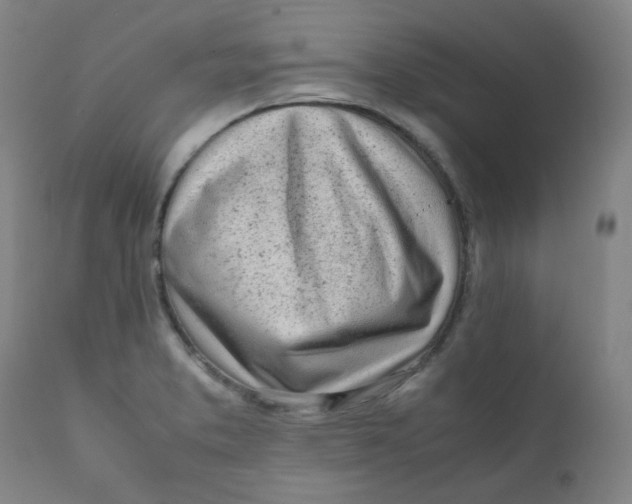 X0000111781373200908131338