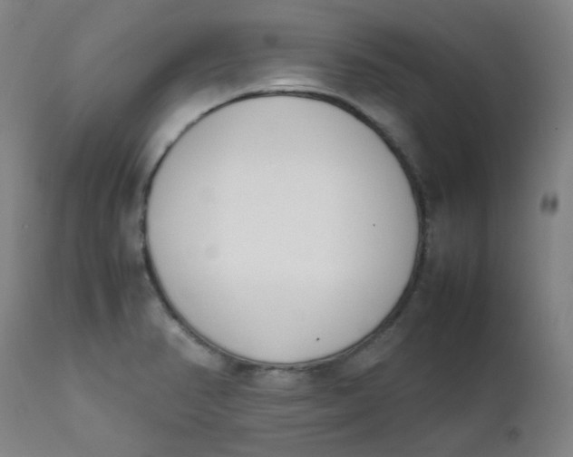 X0000111781374200908131338