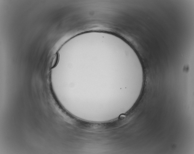 X0000111781375200908131338