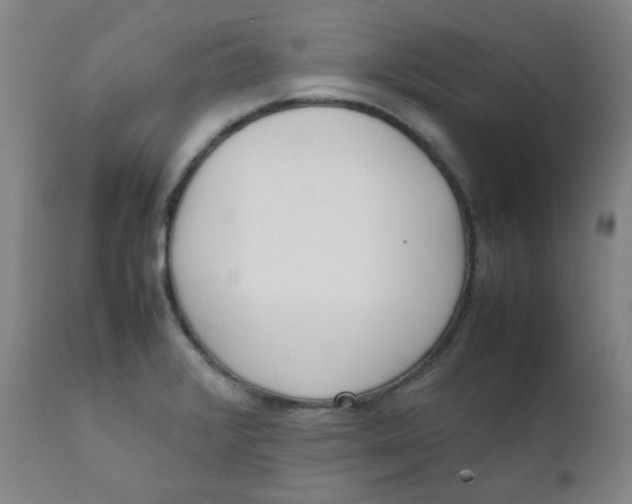 X0000111781376200908131338