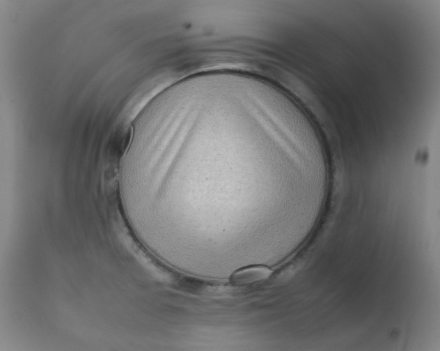X0000111781377200908131338