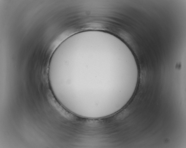 X0000111781378200908131338