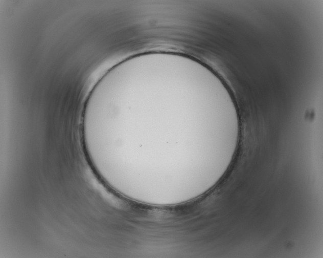 X0000111781379200908131338