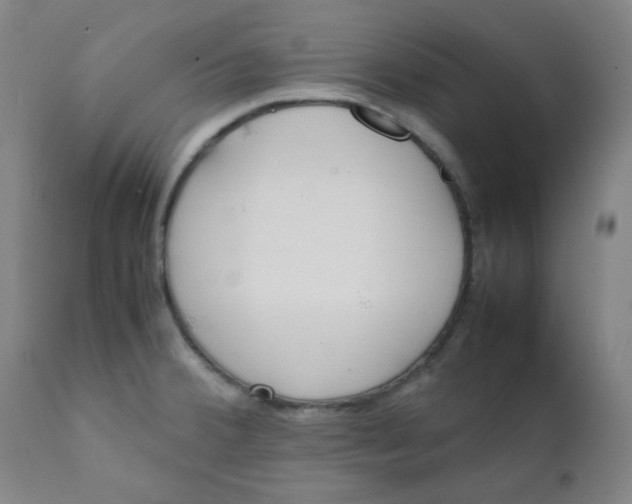 X0000111781380200908131338