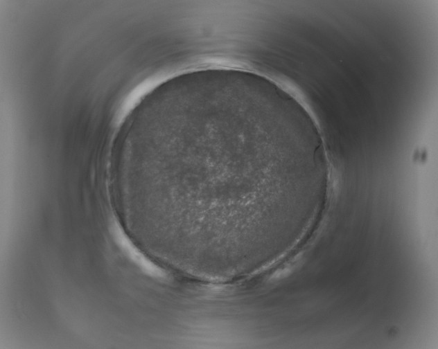 X0000111781381200908131338