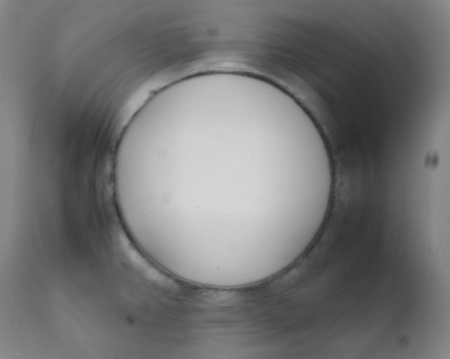 X0000111781382200908131338