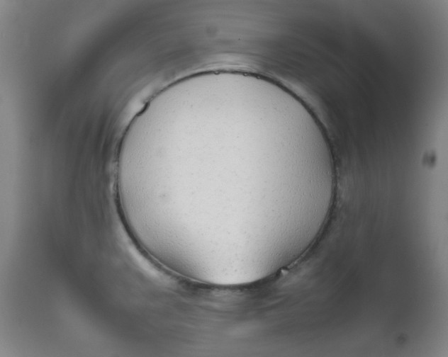 X0000111781383200908131338